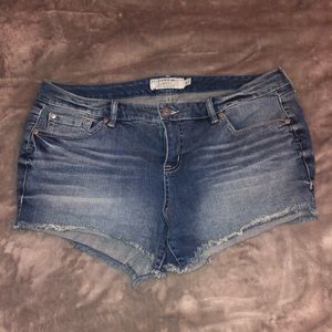 Torrid shorts